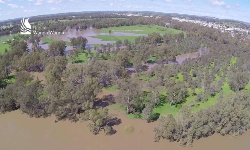 Murrumbidgee River minor flood – Wagga Wagga
