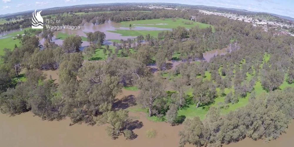 Murrumbidgee River minor flood – Wagga Wagga