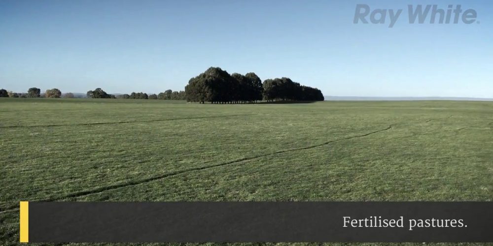 Geoff Palmer – Ray White Rural – Wagga Wagga – Rosewood NSW