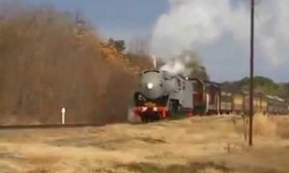 Grey 3801 – Wagga Wagga NSW, June 2006