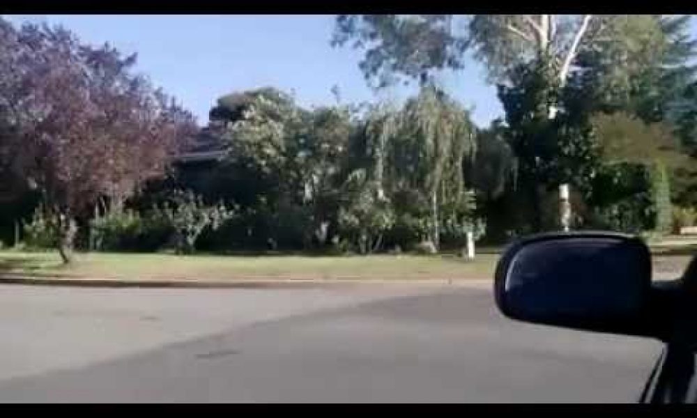 Mad Drive down Bourke St, Wagga Wagga