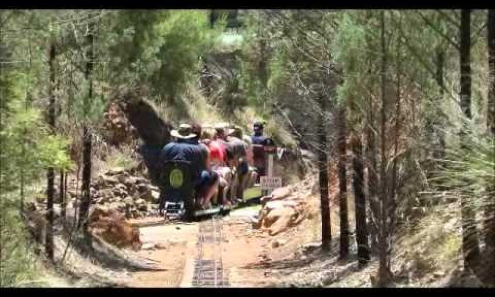 Wagga Wagga Garden Trains