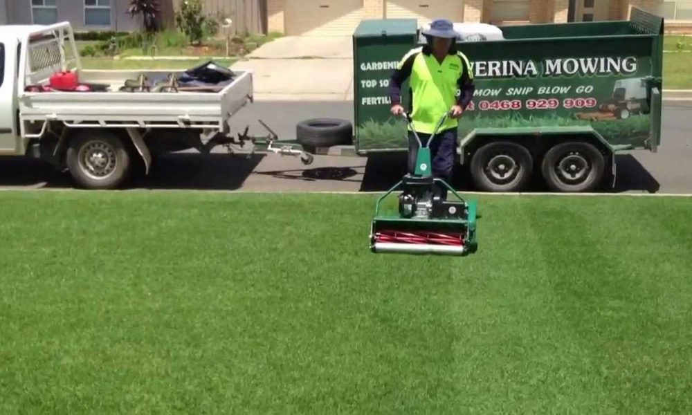 Cylinder lawn mowing Wagga