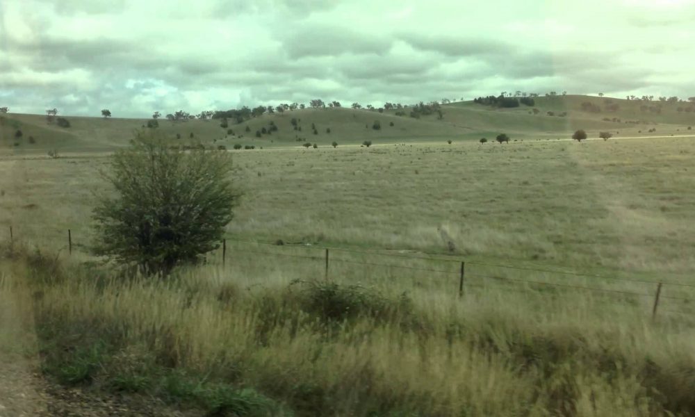 Train Ride from Sydney to Wagga Wagga March 2013