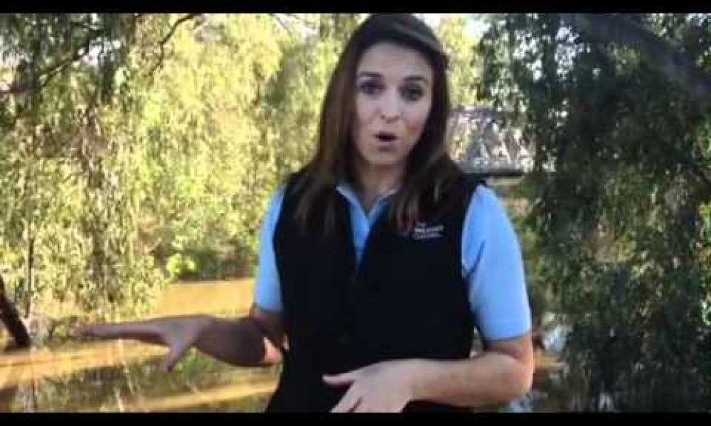 OnLocation Blog – Flooding in Wagga Wagga – Part 2