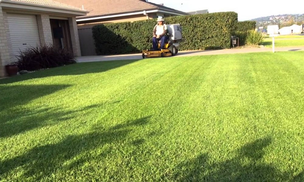 Lawn Mowing WAGGA WAGGA