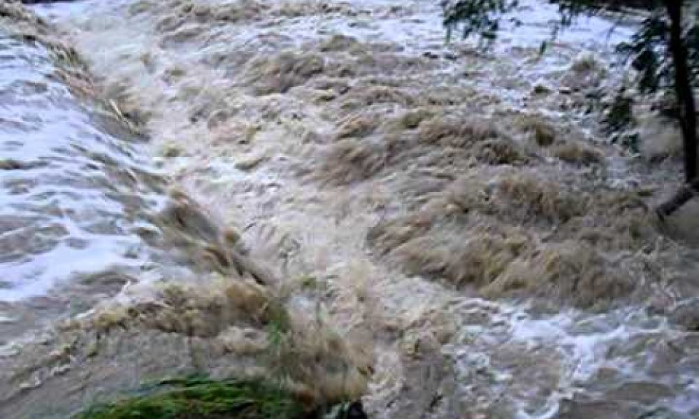 Crooked Creek Flood Lake Albert Wagga Wagga