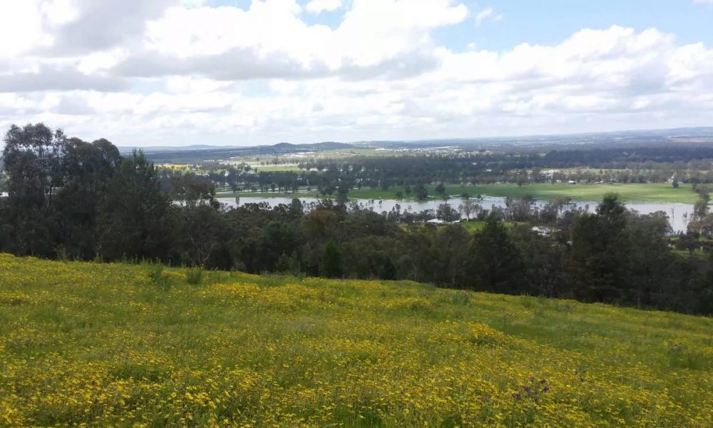 Wagga Wagga 2016 floods as seen from Pomigalarna hill.