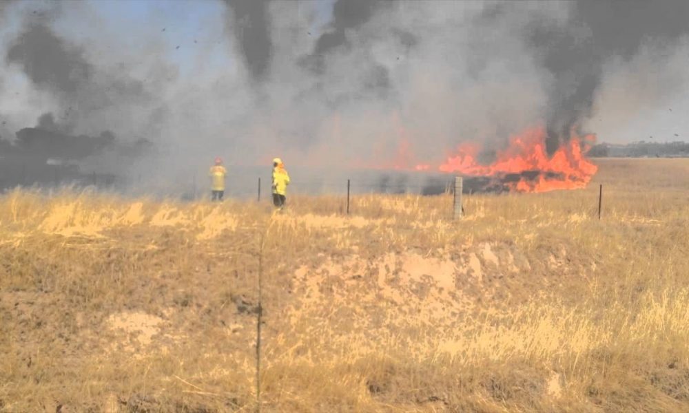 Lake Albert Grass Fire