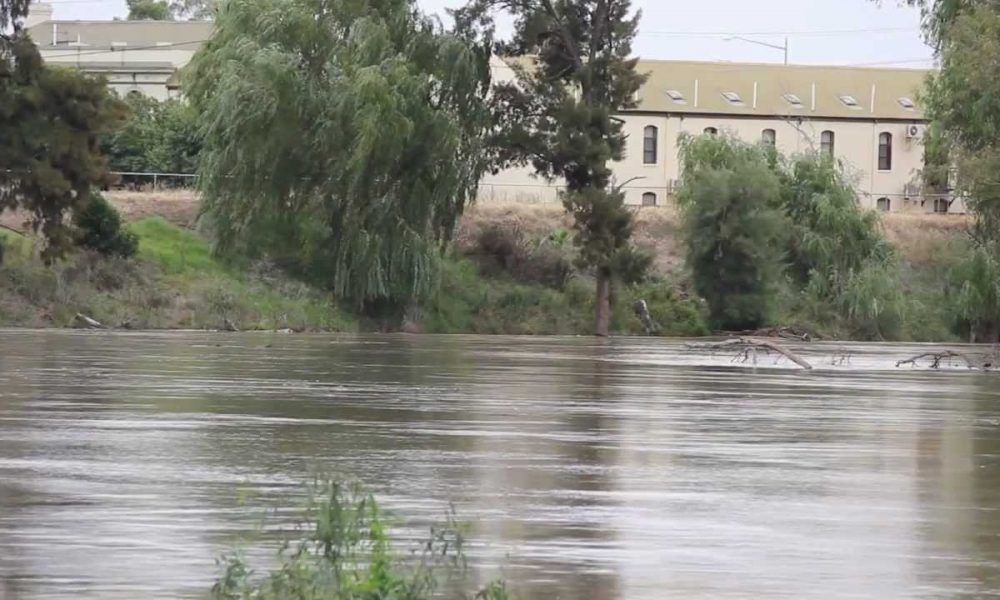 Murrumbidgee River at Wagga Wagga before the March 2012 flood (HD)