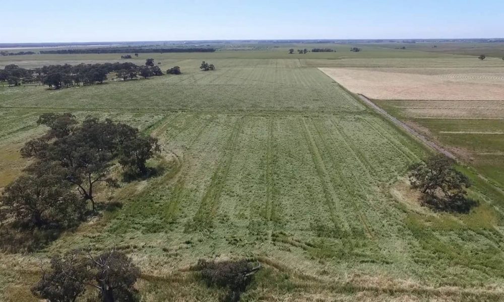 House & Land 10 mins from Echuca