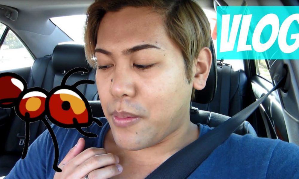 An Ant Bit my Boob in Wagga Wagga | ThePopHeir | VLOG
