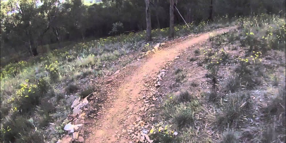 Pomingarlana Park, Wagga Wagga. Downhill run