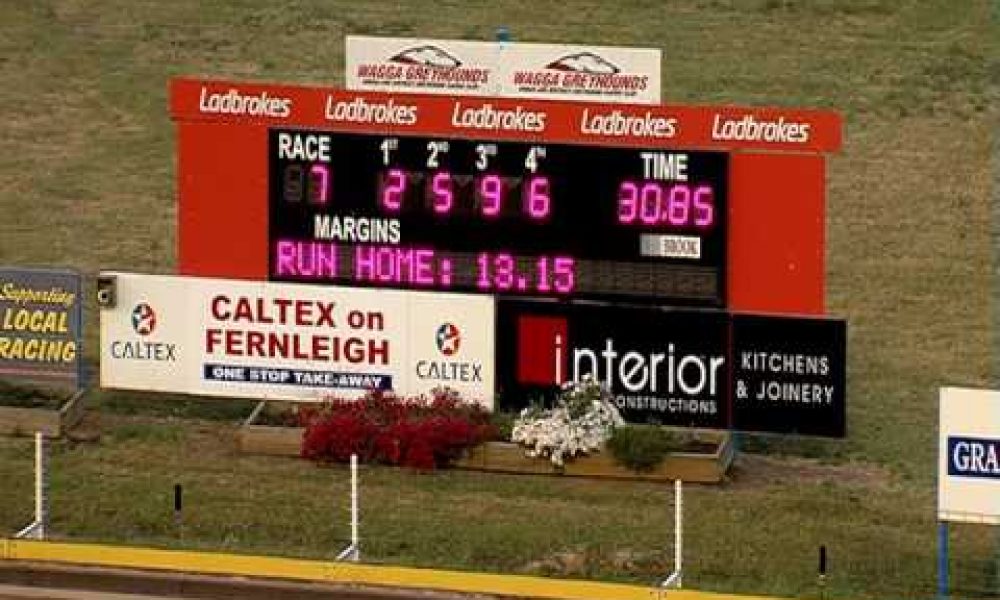 WAGGA-18112016-RACE-7