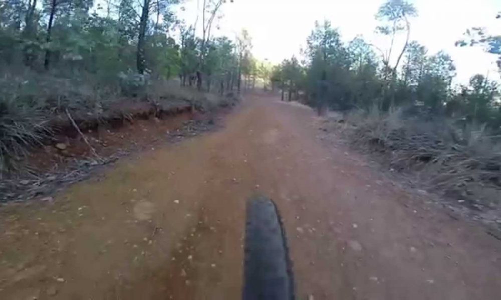Adventures of Wagga Trails