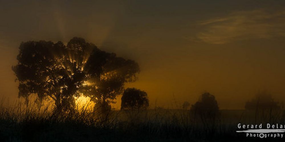 Misty Sunrise || Wagga Wagga || NSW