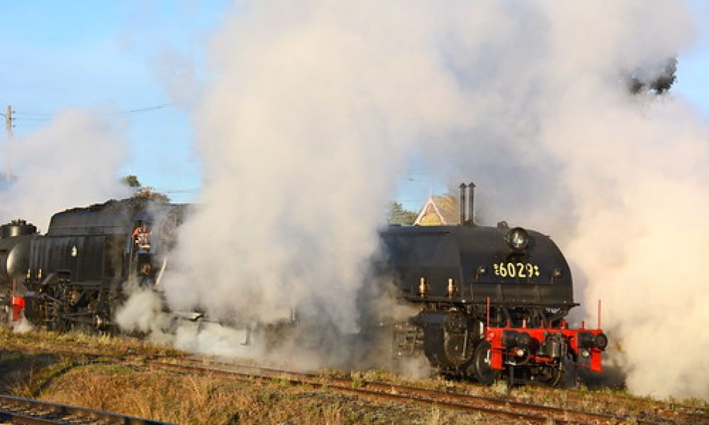 6029 at Wagga Wagga weekend