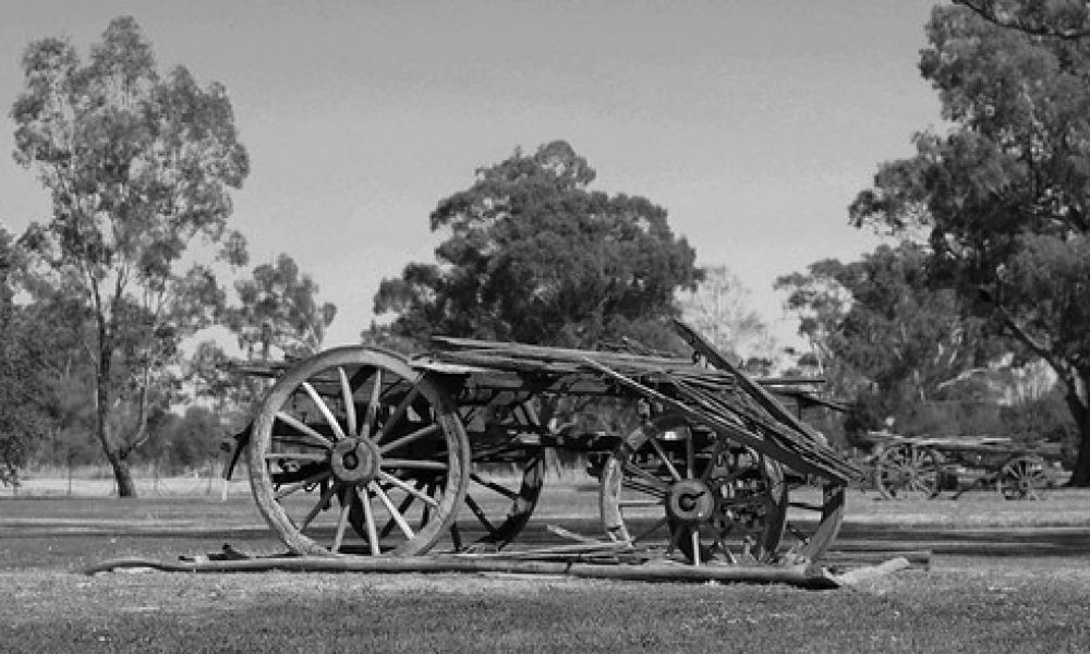 Old Carts at Wagga Wagga NSW