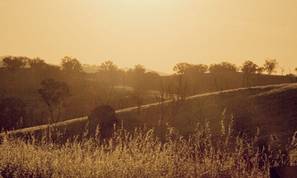 Near Wagga Wagga, NSW