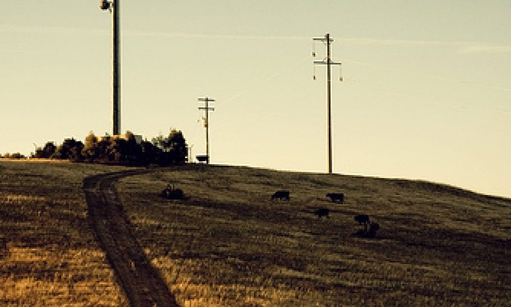 Near Wagga Wagga, NSW