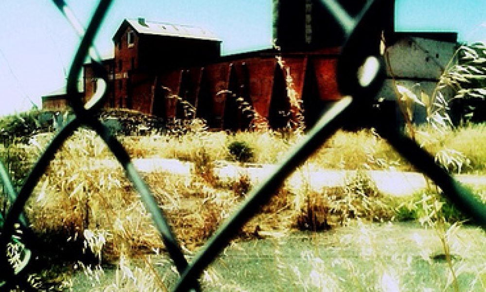 Grain shed, Wagga Wagga, NSW