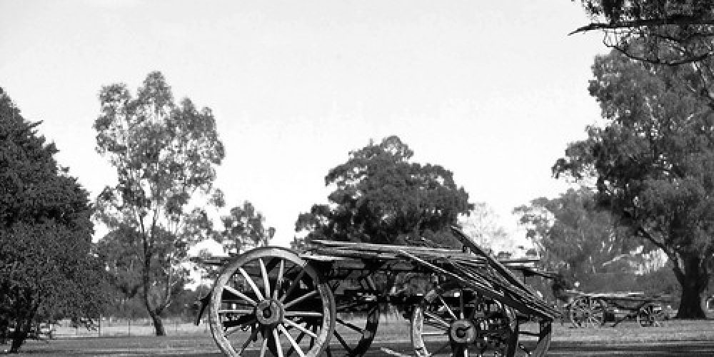133_18a Wagga Wagga NSW Wooden Wagons 28-10-09