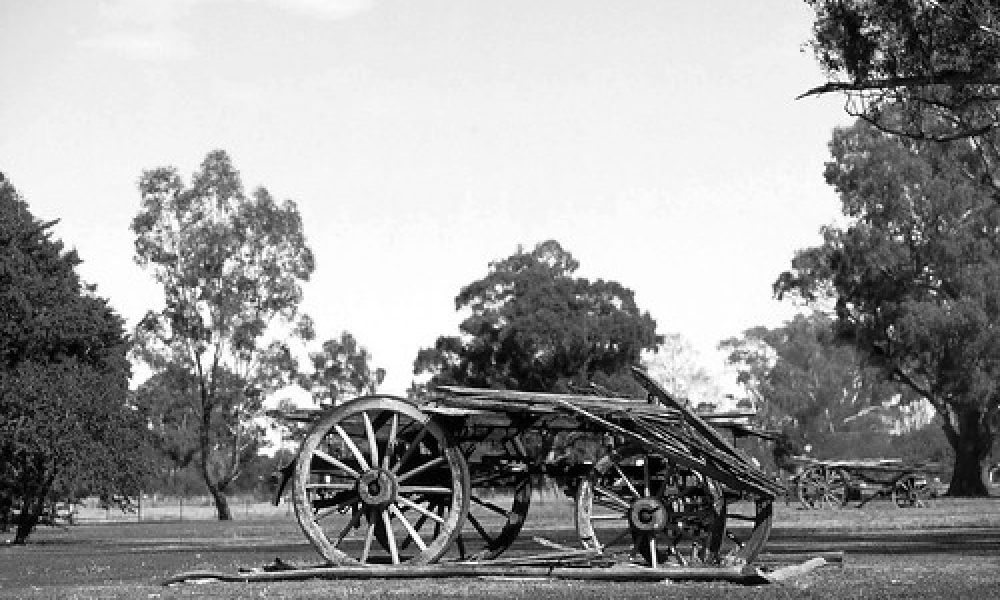 133_18a Wagga Wagga NSW Wooden Wagons 28-10-09