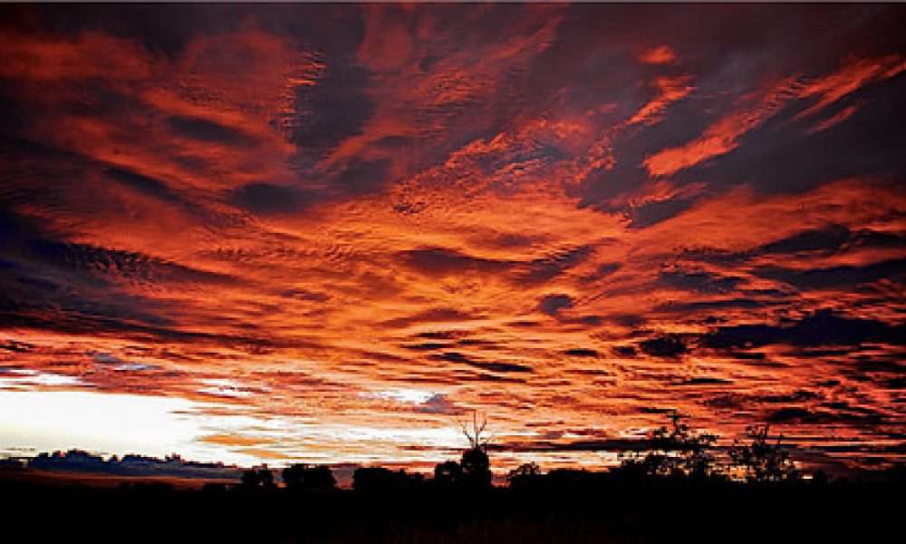 Australian Sunset | Wagga Wagga